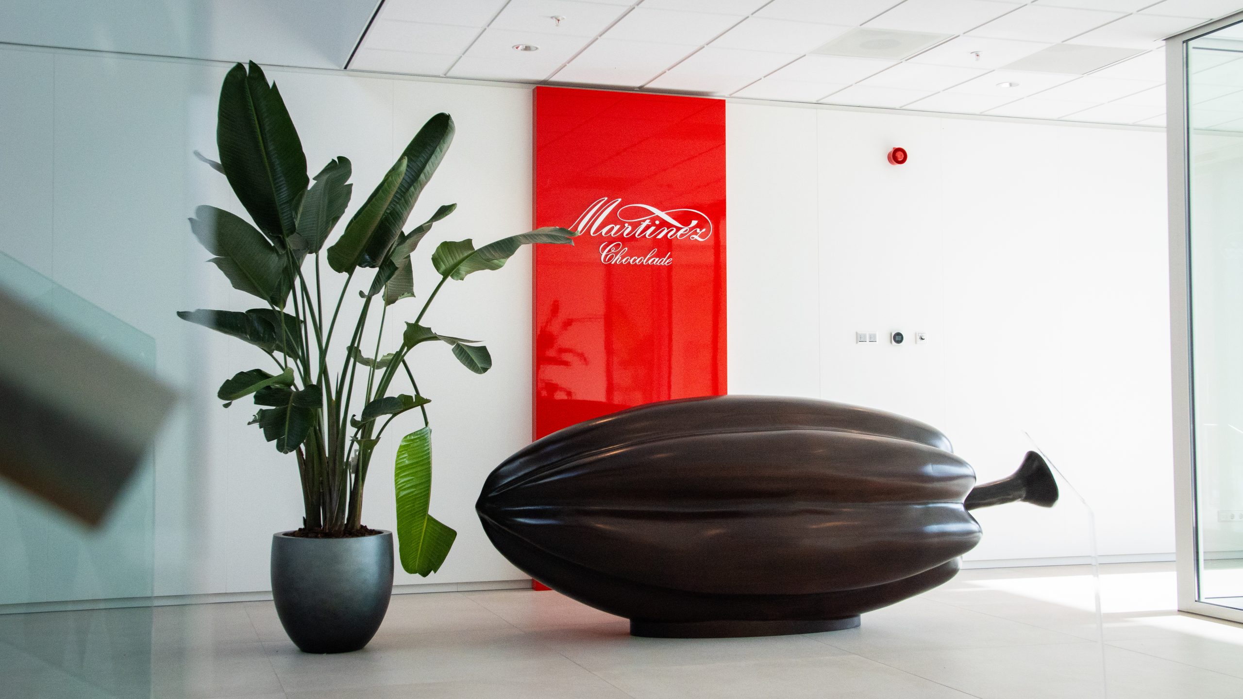 Maars liefert Martinez Chocolade komplette Büroeinrichtung